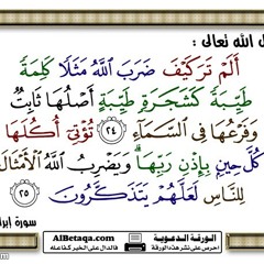 القراءات والمقامات
