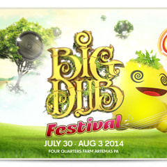 Big Dub Festival aug 1-2014 Vibes Live DJ set by *mr. Mefistou*