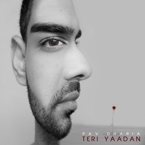 Teri Yaadan [Official Audio]