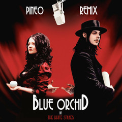 The White Stripes - Blue Orchid (PINEO Remix)