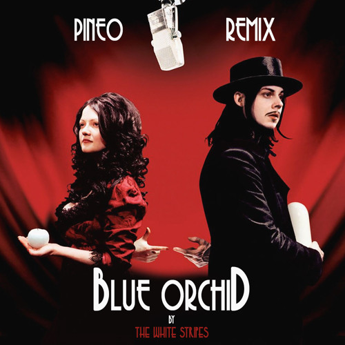 Stream The White Stripes - Blue Orchid (PINEO Remix) by PINEO | Listen  online for free on SoundCloud