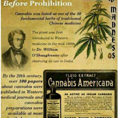 Reefer Madness Prod By The Poet Trees ft. Consciousness Conductors