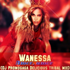 Wanessa ft. Dj Promogaga -Amor Amor (Delicious Tribal Mix)