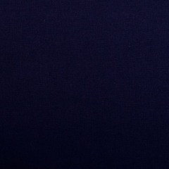 Cruisen mit den Homeys