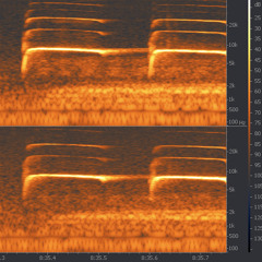 BirdHowl 48kHz