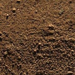Dirt