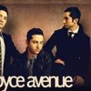 Use Somebody-Boyce Avenue feat. Hannah Trigwel (AVIK REMIX)