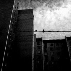 Marina Faib - skyscrapers
