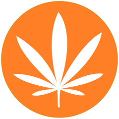 Niku