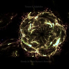 Tensor X Sylphides- Slowly (A Flesh Burner's Rework)