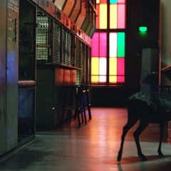 Berghain After Hours
