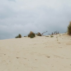 Larghetto Espressivo