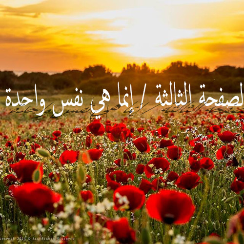 الصفحة الثالثة / إنما هي نفس واحدة