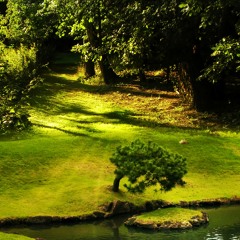 Mediavel - Medieval Dance