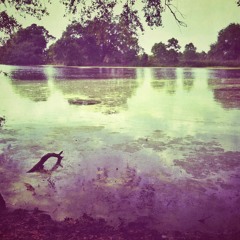 J.A.A.J. (demo) Electro Swamp Jazz