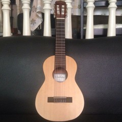 Grow Old With You (Adam Sandler - Arr. L.V. Sumayo) - Guilele