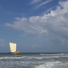 Vikings