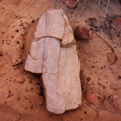 Steps feat. Slam the Poet