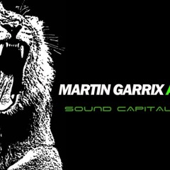 Marin Garrix Animals - Ash Dk remix