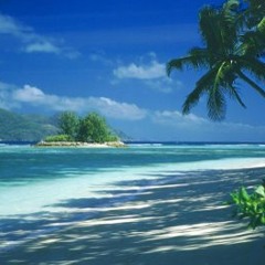 CEE SONG featuring NURGE