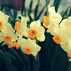 مكانك يا أخي في القلب باقي ♥