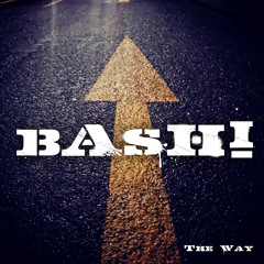 bAsH! - Anyone - Snippet