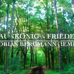 Zaunkönig - Frieden (Tobias Bergmann Remix)