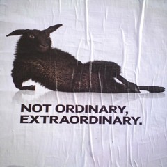 No One Out Here Can F**k Wit Me - Anodrac (Prod. leftiemusicLB)