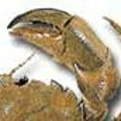 La inmortalidad del cangrejo - José Emilio Pacheco