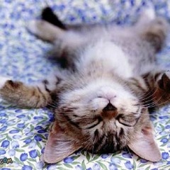 Relax