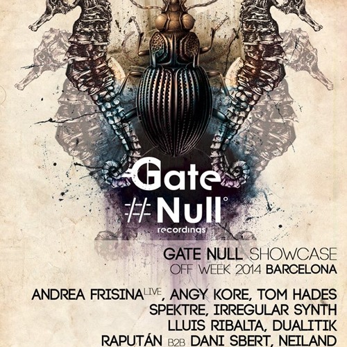 Irregular Synth  - Gate Null showcase Sonar Off 2014 Barcelona