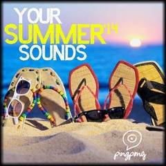 Your Summer Sounds 2014 By Pingpong