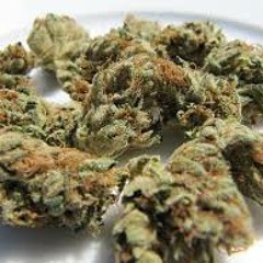 Harvesting-FuDanClan