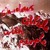 Artwork for John Frusciante - Of Before [Backing Track]