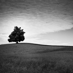 This Can't Be Life - Jay El (Cover)