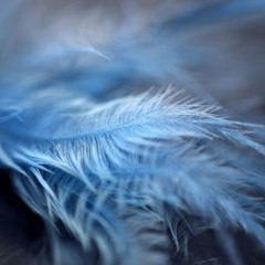Moombah Jokes - Bluue Feathers (Down)