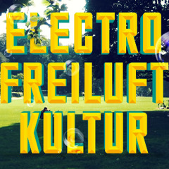Opening Set Eileen Wunderlich - Electrofreiluftkultur - Schrevenpark 2014