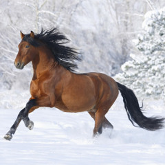 Michael Murphy - Wildfire - Cover By Anthony Vargas