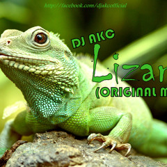 DJ AKC_Lizard (Original-Mix) Electro-House