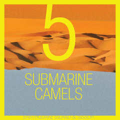 Earthquake Island & Scissor - The 5 Submarine Camels