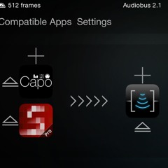 GuitarCapo+ played with SoundPrism Pro through AUFX:Space