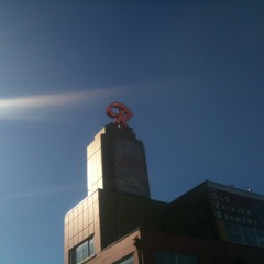 RAINIER PIONEER