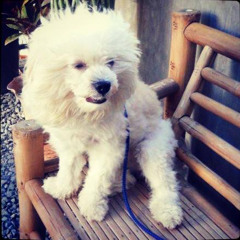 handog by florante. felipe.