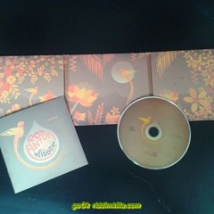 Rod Anton & THE LIGERIANS  - Like the Hummingbird 2014.