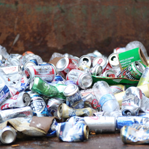 Bones & X Wulf - TRASH (throwed)