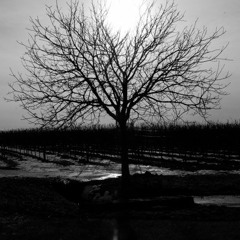 Bugar Nugroho - Those Thousand Days