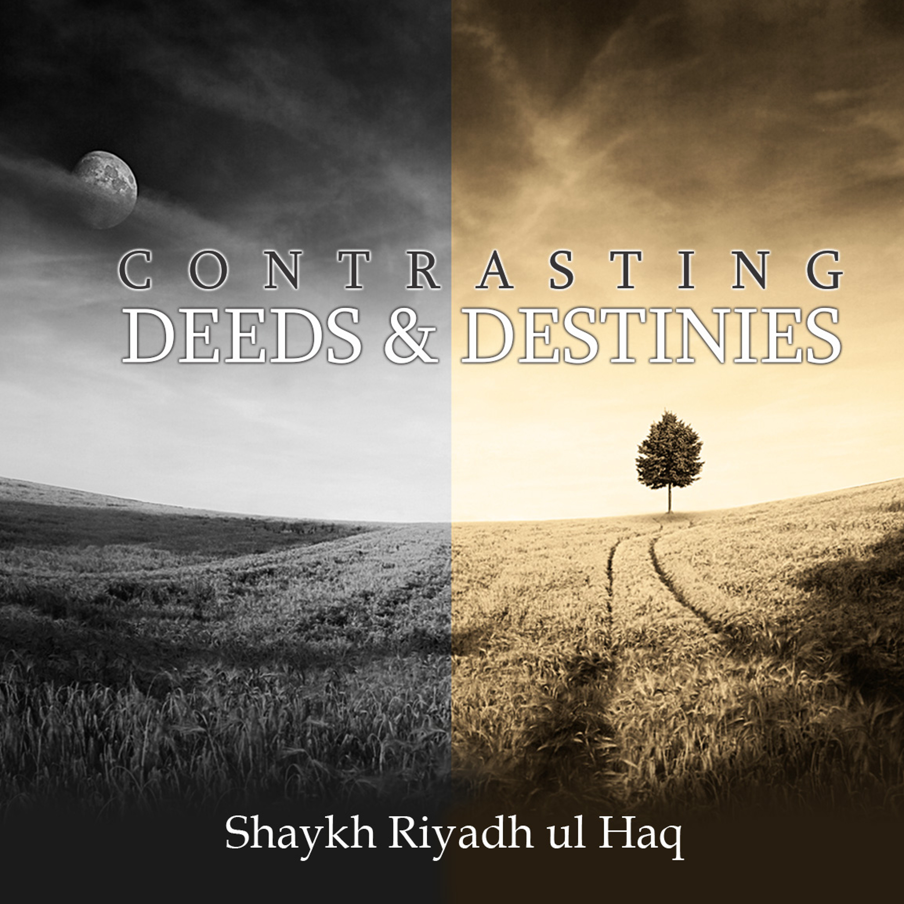 Shaykh Riyadh ul Haq