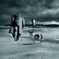 subcarpati-2000 km [dobrin]