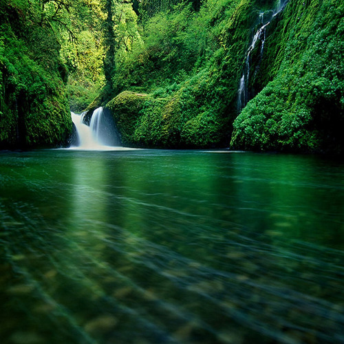 What A Wonderful World