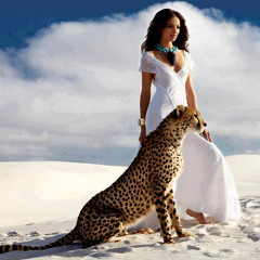 . حاتم عمرو